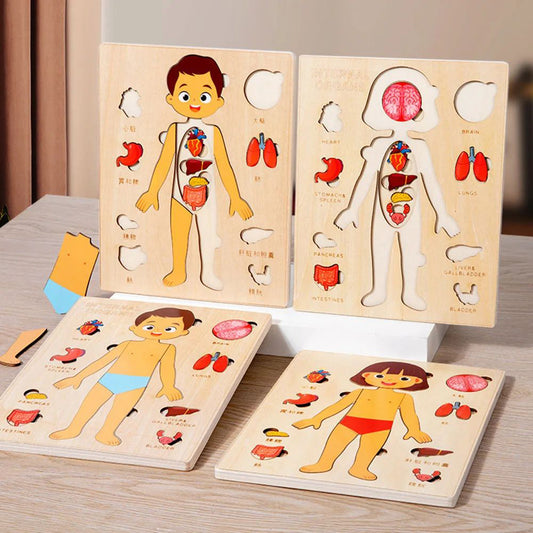 Kids Wooden Montessori Toys Human Body Organs Puzzles Educational Toy Preshool Kindergarten Learning Activities Busy Board - Zippylo