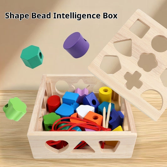 Geometric Shape-Matching Puzzle Toy - Zippylo