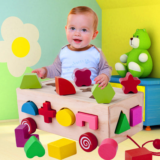 Shape Matching Building Blocks - Zippylo